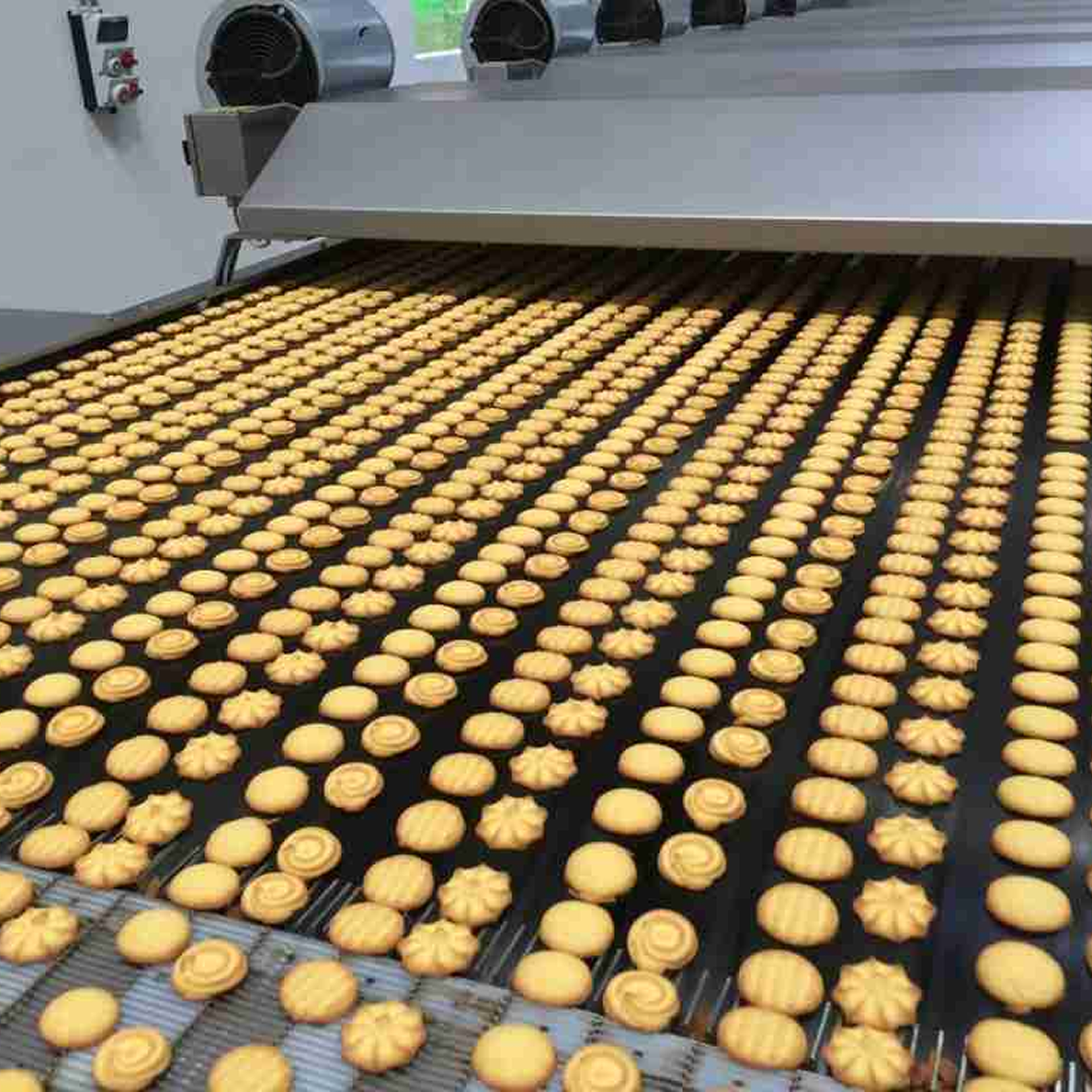 Metalbelt Esteiras Metálicas